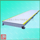 SCS-XC-F数字式汽车衡